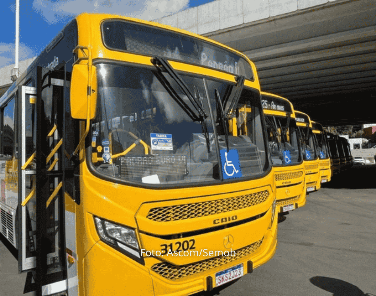Linha de ônibus em Salvador passa a contar com sete novos horários; confira os detalhes 