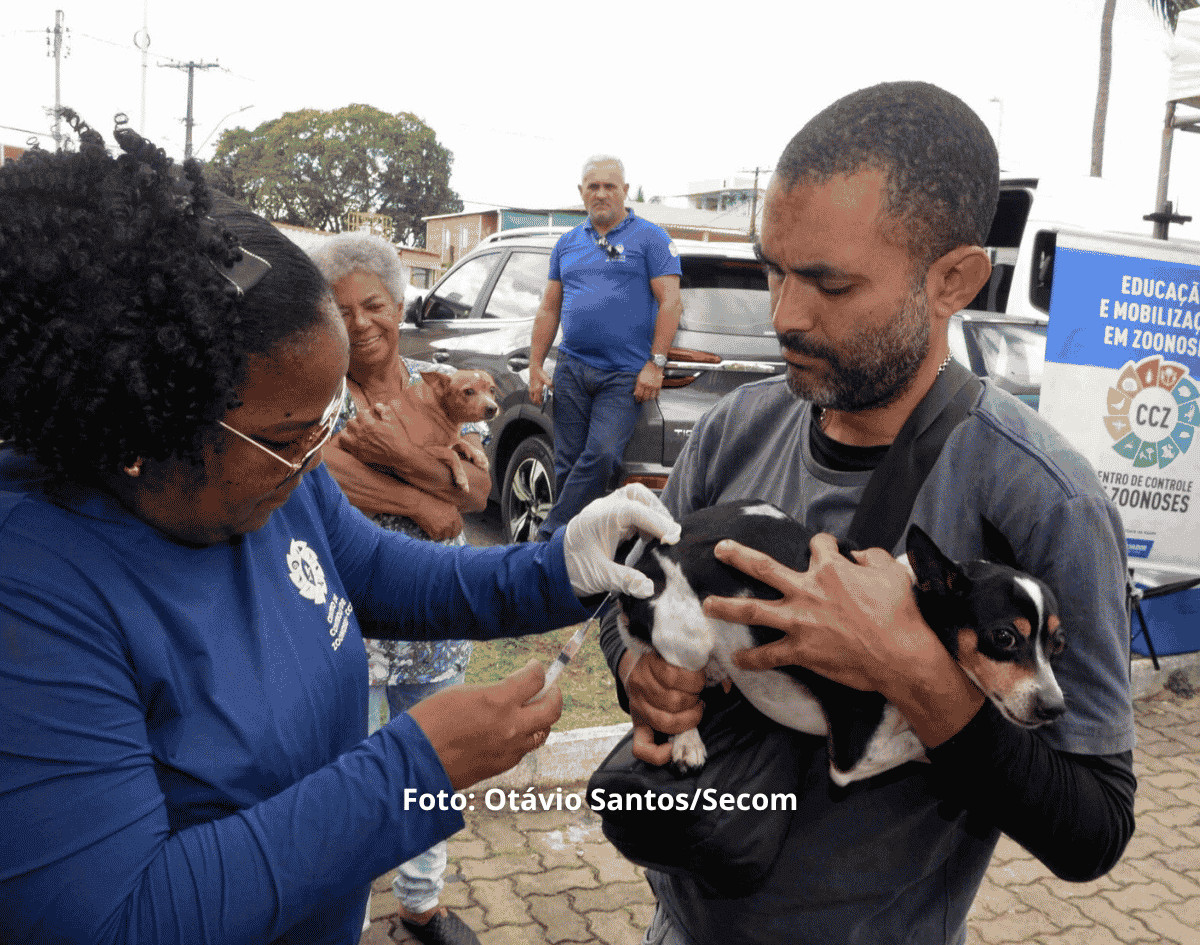 Prefeitura de Salvador alerta para prevenção da raiva e reforça vacinação de cães e gatos 