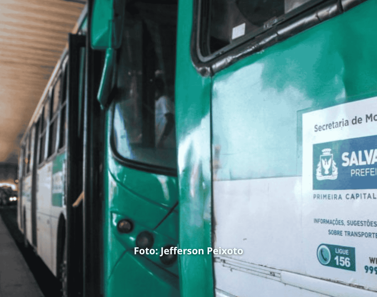 Rodoviários aprovam estado de greve; saiba mais