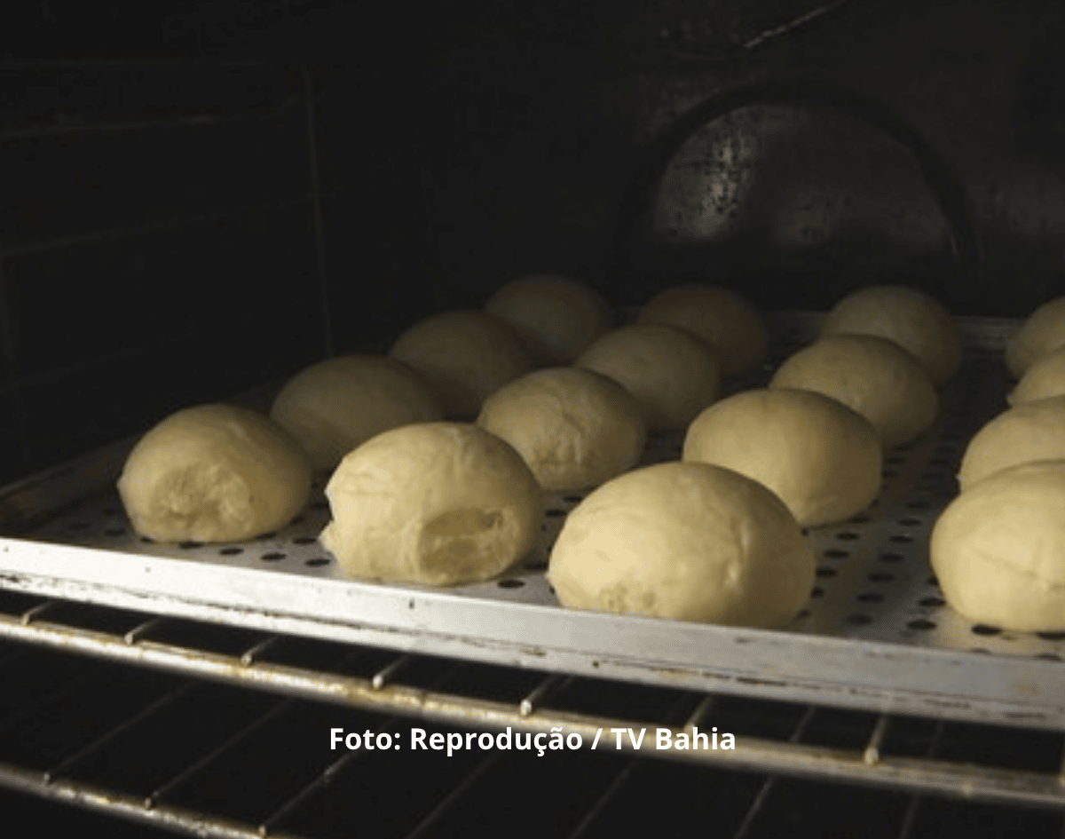 Prefeitura de Salvador abre 150 vagas em cursos gratuitos de pães delícia, pizzaiolo e eletricista naval 