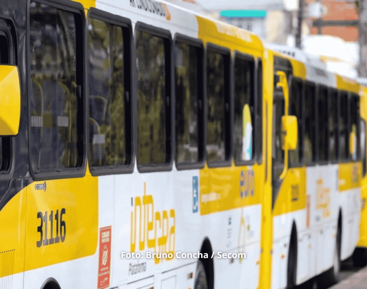 Linhas de ônibus mudam de itinerário na Calçada a partir desta sexta (3); veja o que muda 