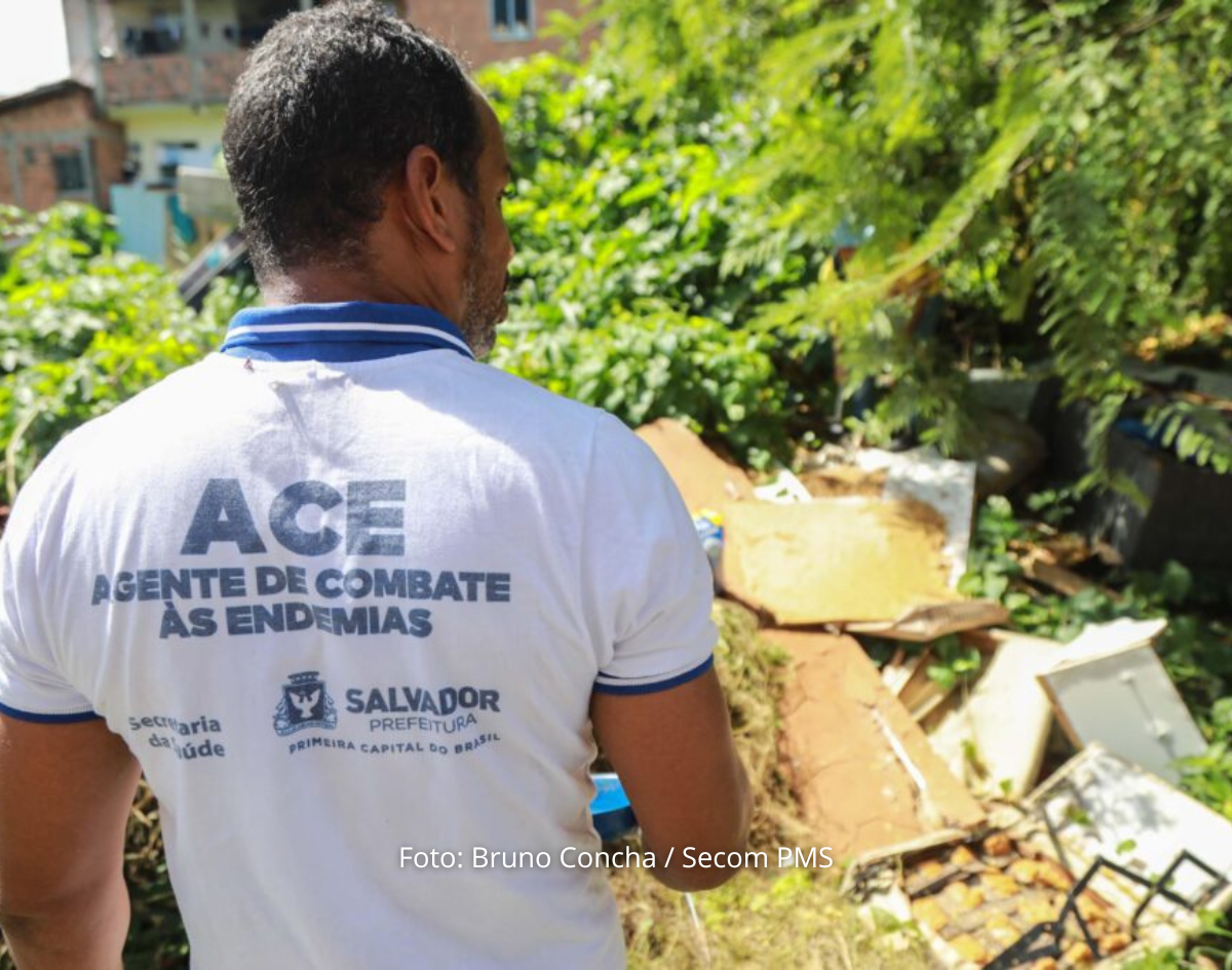 Prefeitura intensifica ações de combate ao mosquito da dengue em Salvador 
