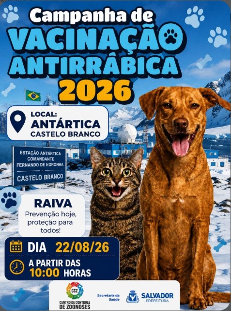 Campanha de vacinação antirrábica será realizada em Castelo Branco no sábado (22) 