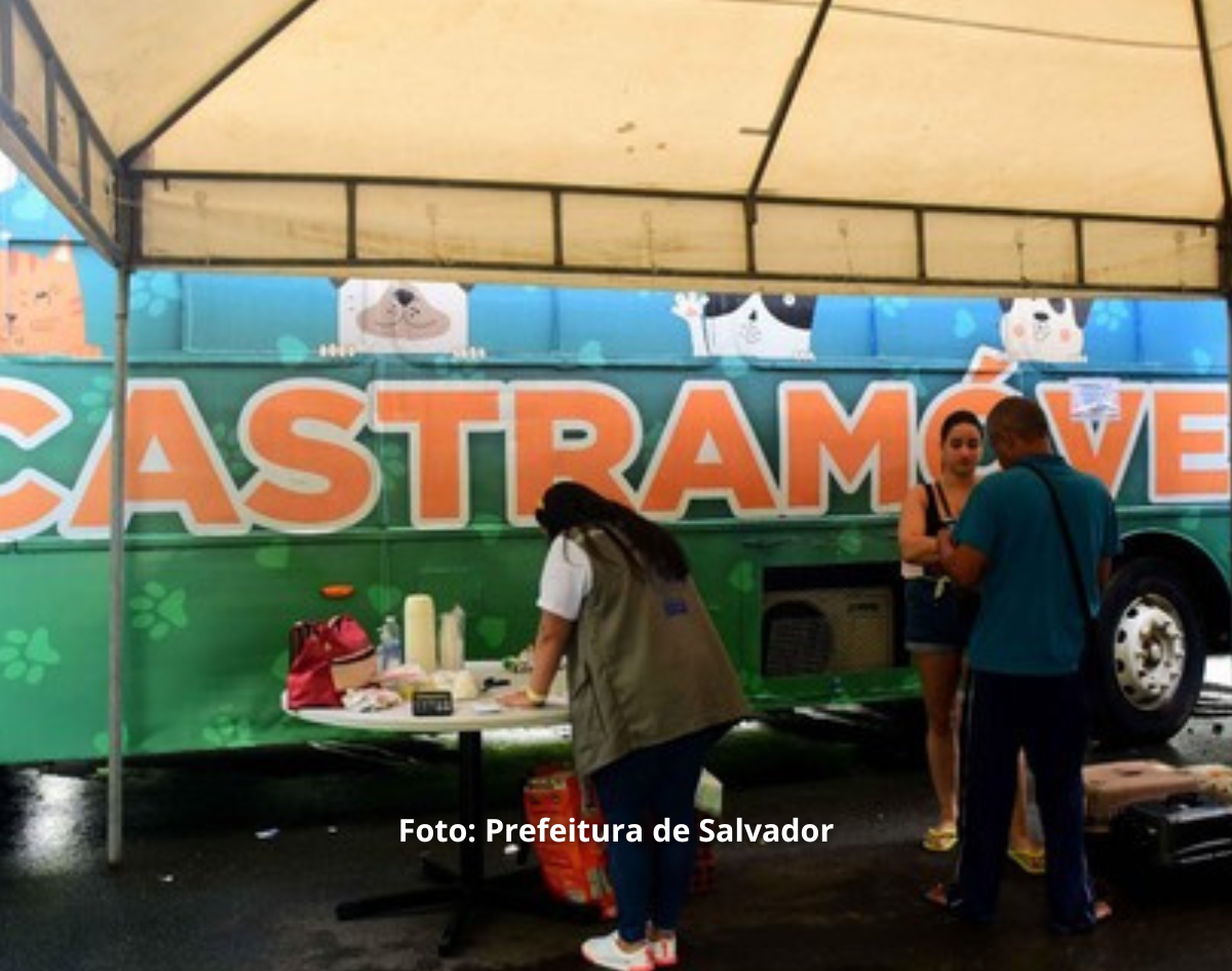 Castramóvel realiza atendimento gratuito no estacionamento da Ferreira Costa, na Avenida Paralela; saiba como funciona