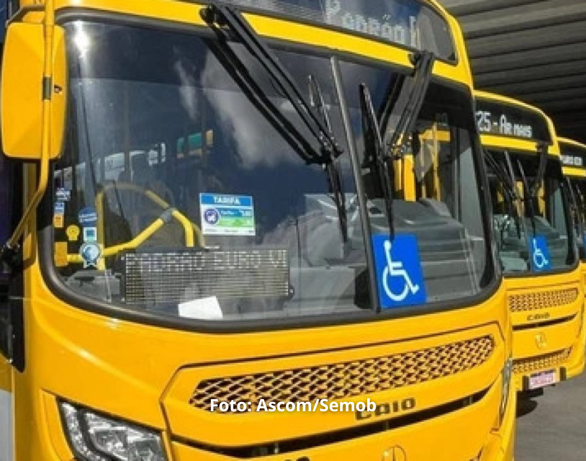 Novos ônibus começam a circular em mais de 180 linhas de Salvador 