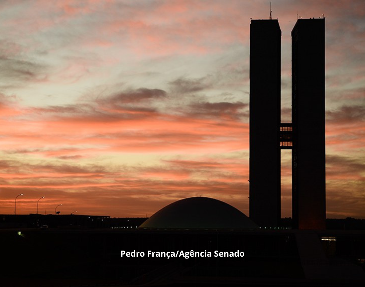 Conheça os senadores eleitos nas eleições 2026