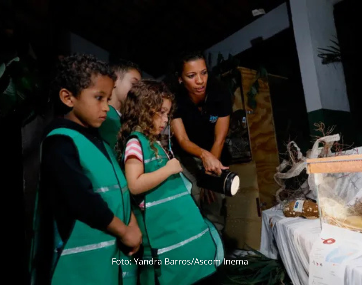Zoo Noturno terá duas edições em outubro, em Salvador; inscrições começam nesta segunda-feira (19) 