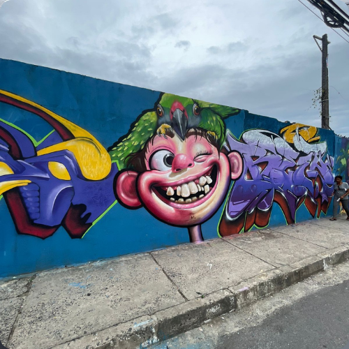 Muros de Castelo Branco ganham vida com Grafite e expressam cultura local