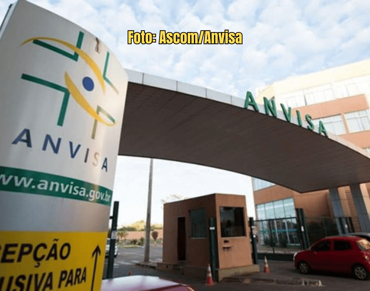 ANVISA proíbe comercialização de azeites das marcas Alonso e Quinta D'Oliveira