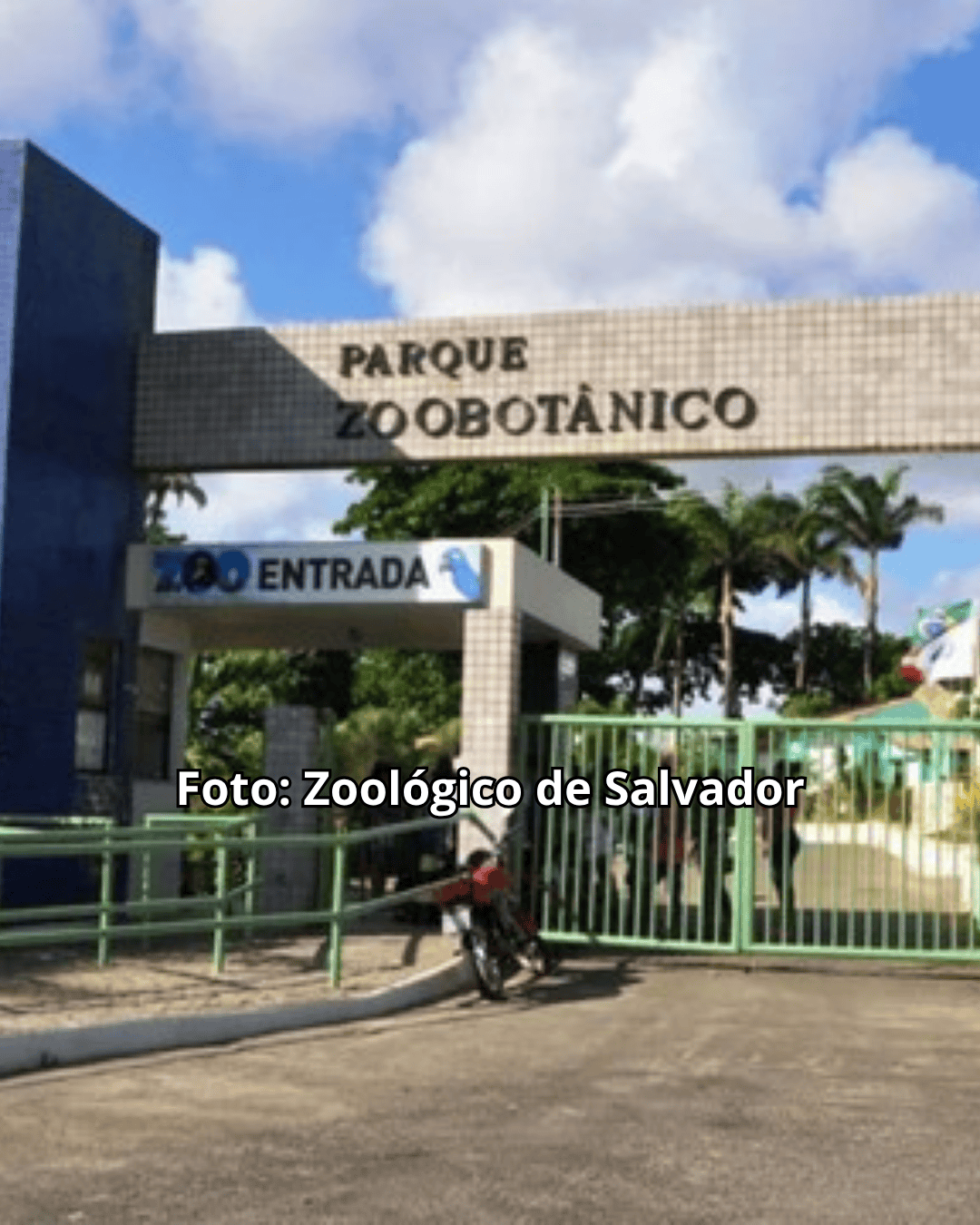 Zoológico de Salvador voltará a funcionar após reforma