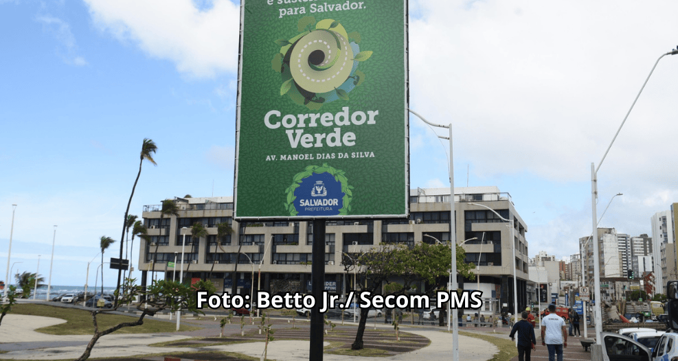 Corredor Verde: Prefeitura inicia novo programa de arborização em Salvador com plantio de 115 árvores na Av. Manoel Dias